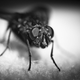 Image for article titled Shooting Challenge: Freelensing